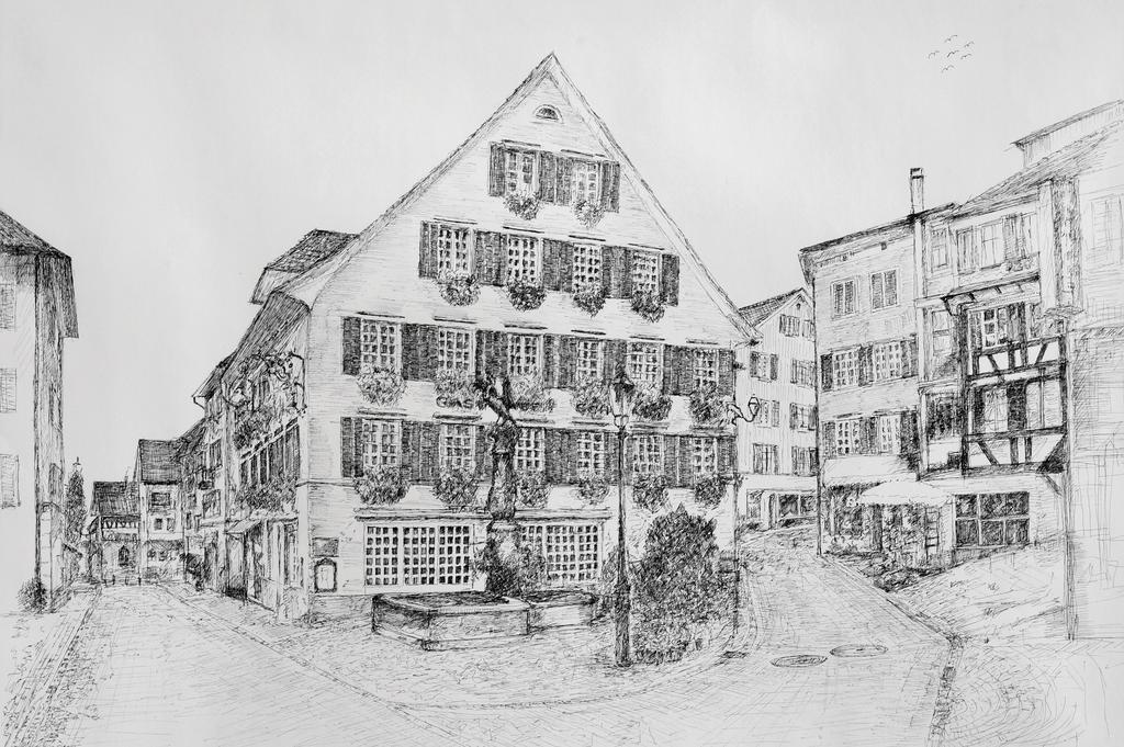 Romantik Hotel Schwan Horgen Dış mekan fotoğraf