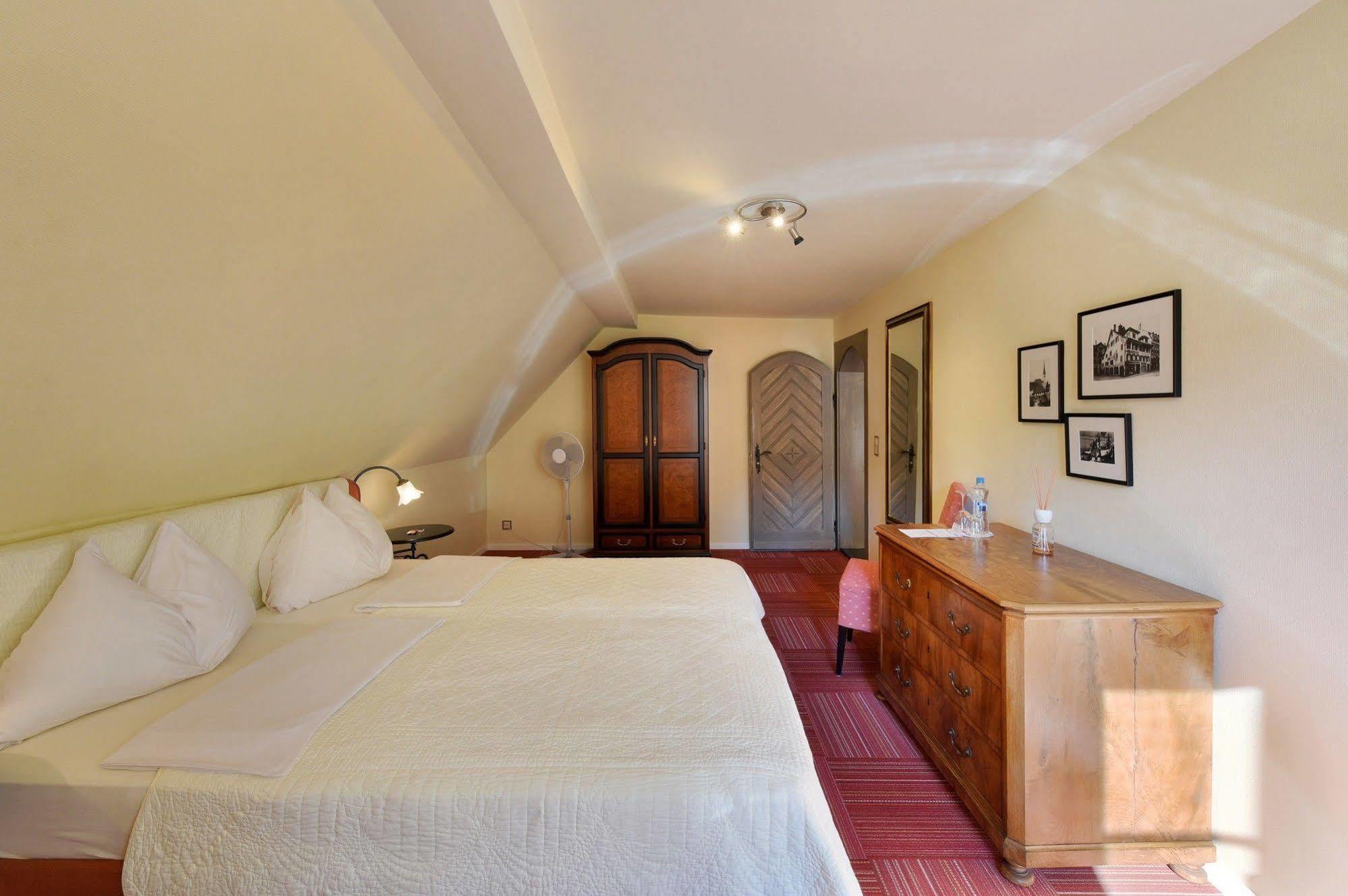 Romantik Hotel Schwan Horgen Dış mekan fotoğraf